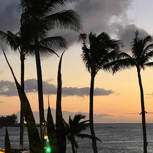 View from the restaurant