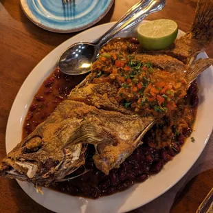 Fried red snapper