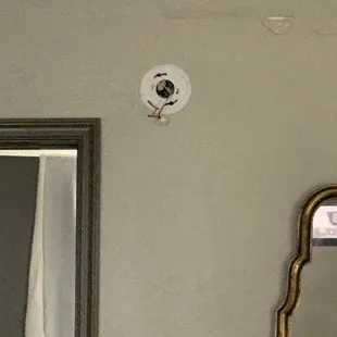 I believe the smoke detector