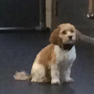 M L.