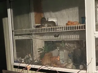 Trailer Haven