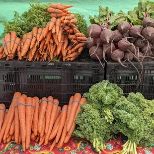 Small selection of fruits and vegetables