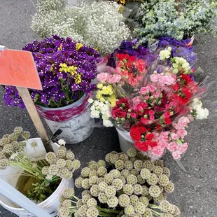 A good assortment of flowers