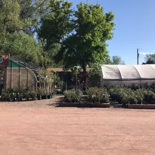 Outside with roses (great selection)