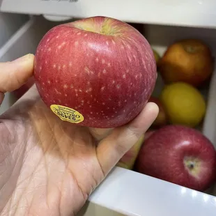 New apple obsession: evercrisp, sweet, dry, crisp, super satisfying