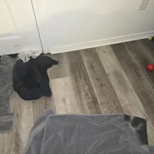 Flooding through the front door.