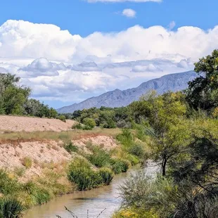 Beats a poke in the eye with a sharp stick (as an old friend used to say)