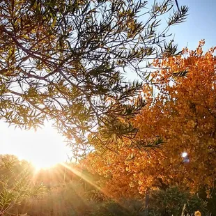 Humble but energized sunrise capture - fulfillment!!! 1st one in over too many years