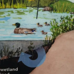 My 3-duckies &amp; I