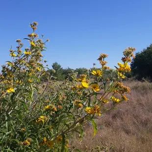 Always stop to smell the flowers...
