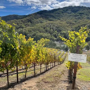 Always enjoy this view