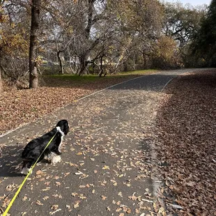 Review gone?  Who cares.  Nice work jealous...