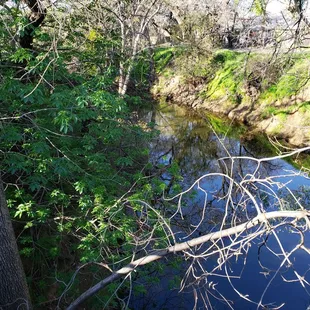 Assumption: this is Alamo Creek.