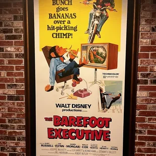 the poster for the barefoot executive