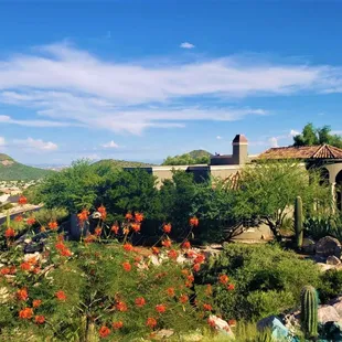 A Fresh Start in Starr Pass