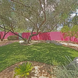 Droppin' in on Drachman