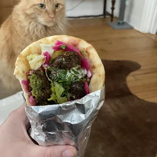 Falafel pita ft. My cat :)