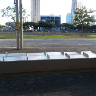 HOT! Everyone is hiding in the shade!