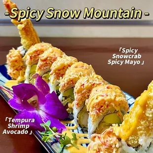 sushi, food, sashimi, sushi and sashimi