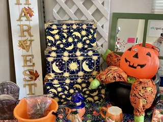 Surprise Thrift Shop