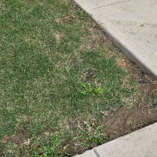 Do not take care of lawns anymore but they can raise your rent!