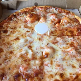 Cheese Pizza