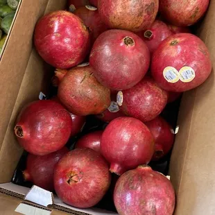 Pomegranate