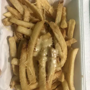 Garlic Parmesan fries.