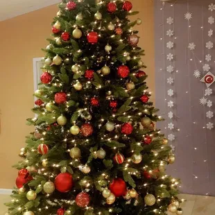 One of the Christmas trees at AAA