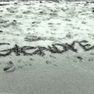 Sara G.