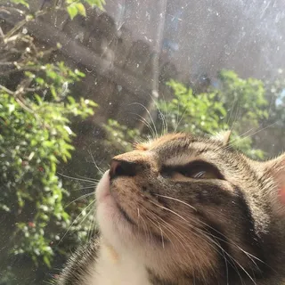 Marilyn O.