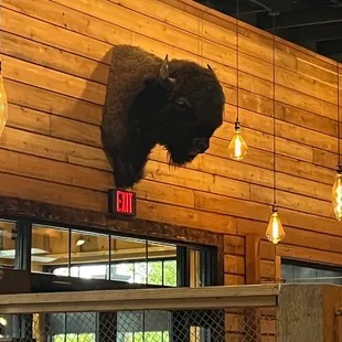 A buffalo head that is displayed above the front door as you enter the restaurant.