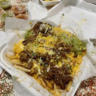 Large birria fries