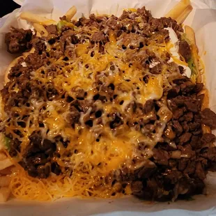 Carne asada fries