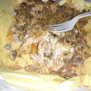 Carne asada fries.