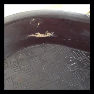 They serves us our food on this tray