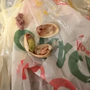 Pictures of the shells