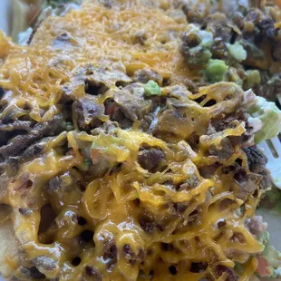Carne asada Super Fries