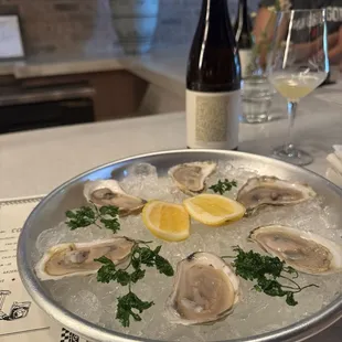 Oysters