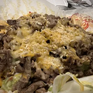 Carne Asada Fries