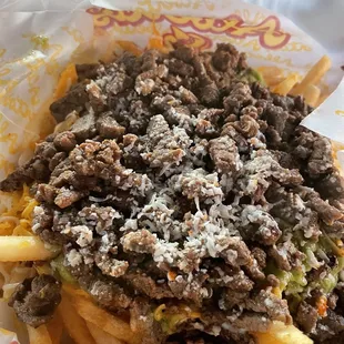 Carne Asada Fries ($10.50)