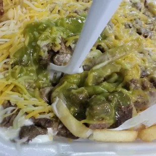 Carne Asada Fries