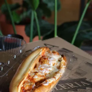 a hot dog with cheese and sauce