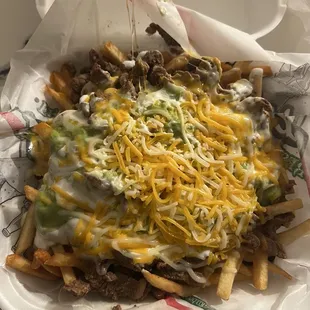 Carne Asada fries somewhat undercooked.