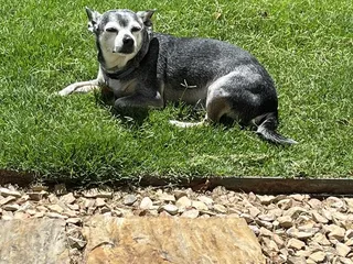 Family Focused Eyecare