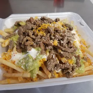 Carne Asada Fries