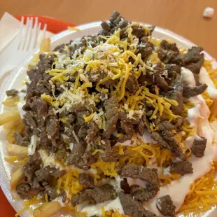 Carne AsadaFries