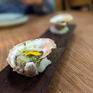 sushi, food, sashimi, sushi and sashimi