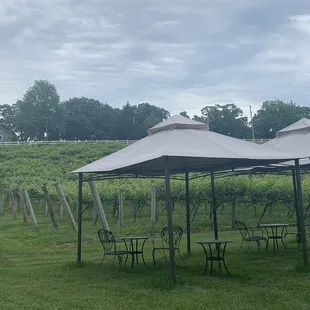 tables and umbrellas