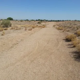 one of the running trails